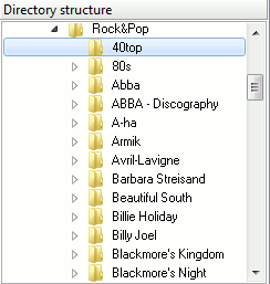 Directory structure